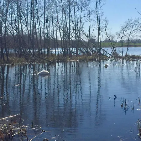 Kaschubische-schweiz-oase-der-entspannung 別荘 *
