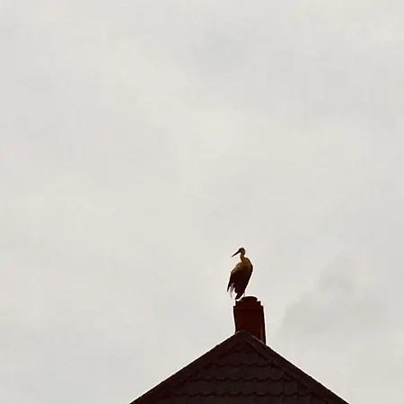 Kaschubische-schweiz-oase-der-entspannung Łyśniewo