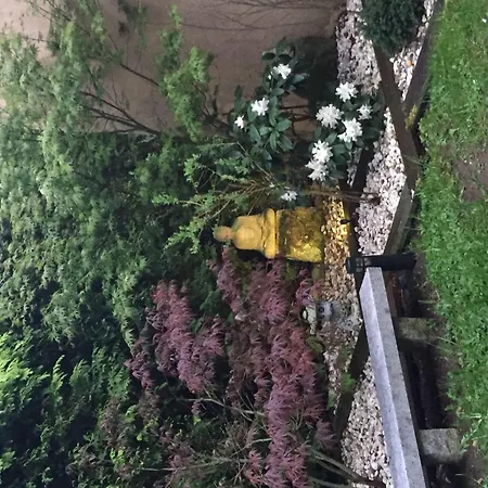 Kaschubische-schweiz-oase-der-entspannung בית נופש Lysniewo