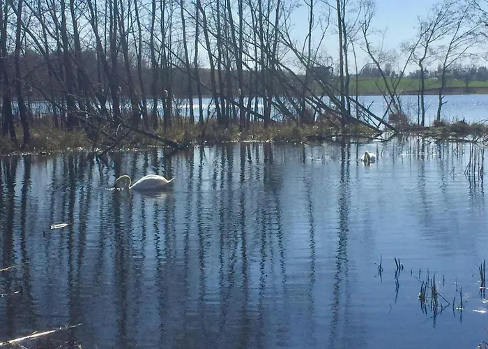 Kaschubische-schweiz-oase-der-entspannung Dom wakacyjny Lysniewo