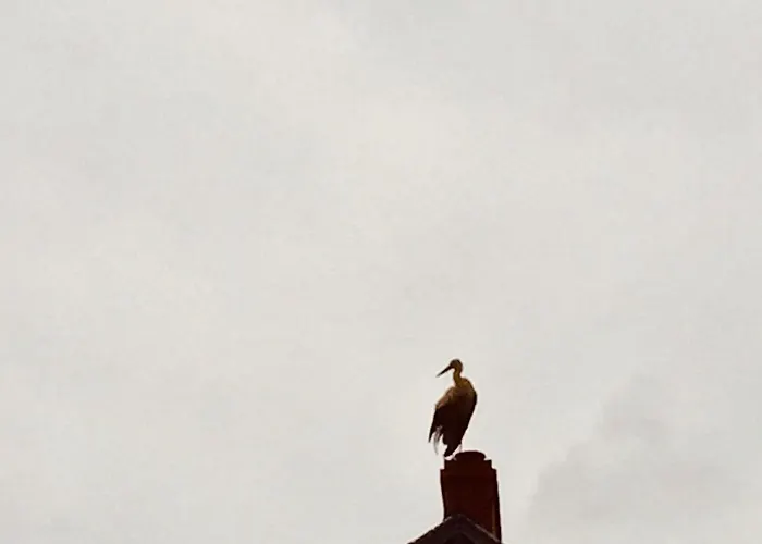 Kaschubische-schweiz-oase-der-entspannung Dom wakacyjny *